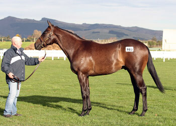 Sale Topping O'Reilly Colt
